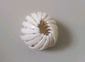 Pony Clip
