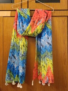 Multicolor Dupatta
