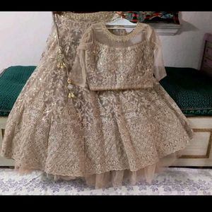 Elegant Embroidered Lehenga Set