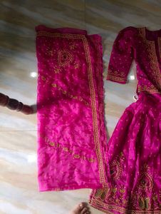 Rajputanni Handwork Pink  Lehenga Choli
