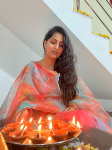 Multicolor Organza Suit