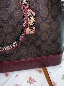 Coach 🇺🇸croc Leather Handbag