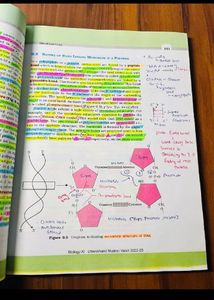 Biology Textbook Class XII