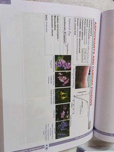 BTR By Dr.Zainab Vora BT Annotated Workbook Volum