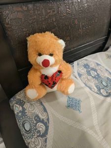 Teddy Bear Brand New For Sale