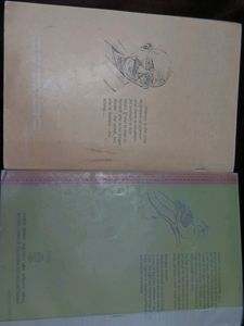NCERT+CBSE english Textbooks Combo Class 11