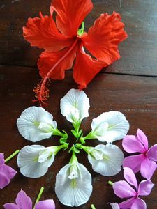 Combo Three Flowers Saplings