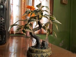 Tree For Home Decor & 2 Free Pencil