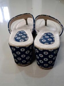 Blue Wedges