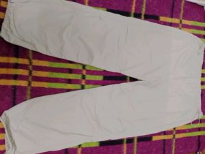 max casual Pants (light green colour)