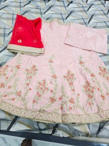 Embroidered Lehenga Choli Set