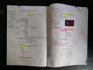 Forensic Medicine And Toxicology