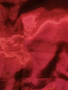 Red Satin Corset top