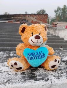 Teddy Bear - Special Brother