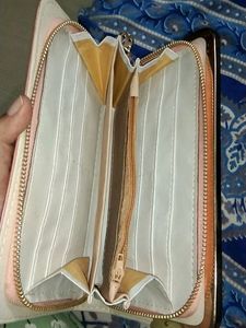 Fancy Clutch, Never Used