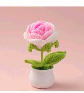 Crochet Flower Pot