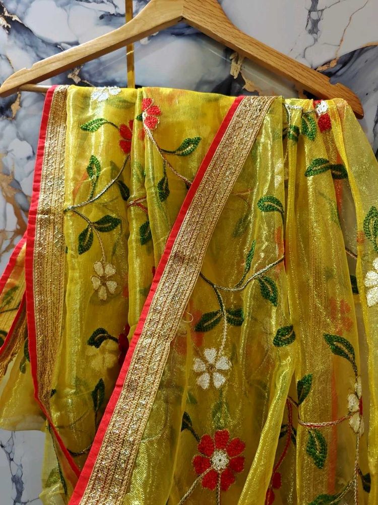 Brand New Embroidery Organza Saree For Kids