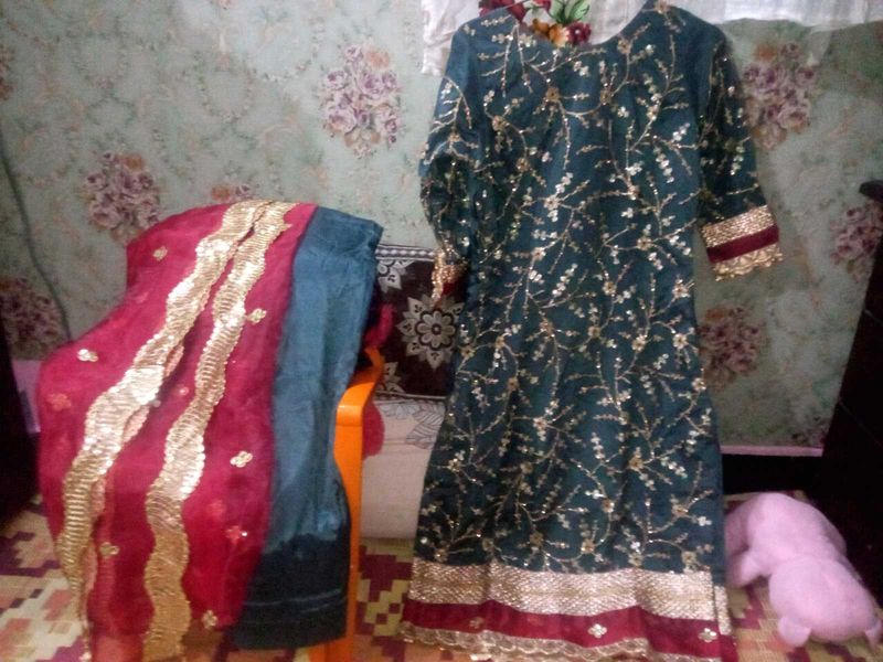 Pakistani Havy Work Party Wear Dress