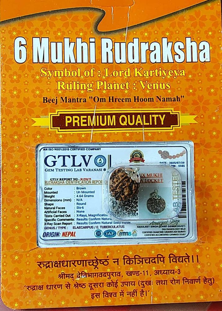 6 Mukhi Rudraksha Pendant