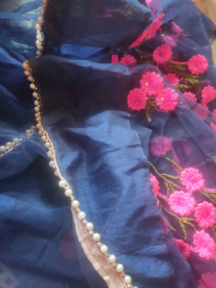 Partywear Saree