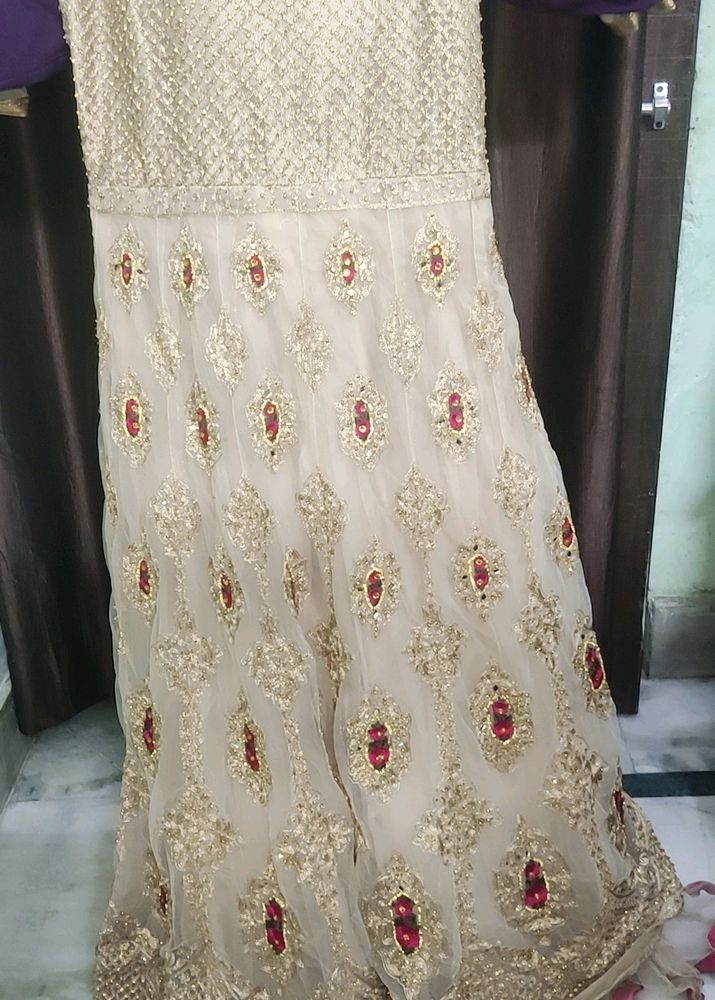 Elegant Pakistani/Indian Wedding Dress