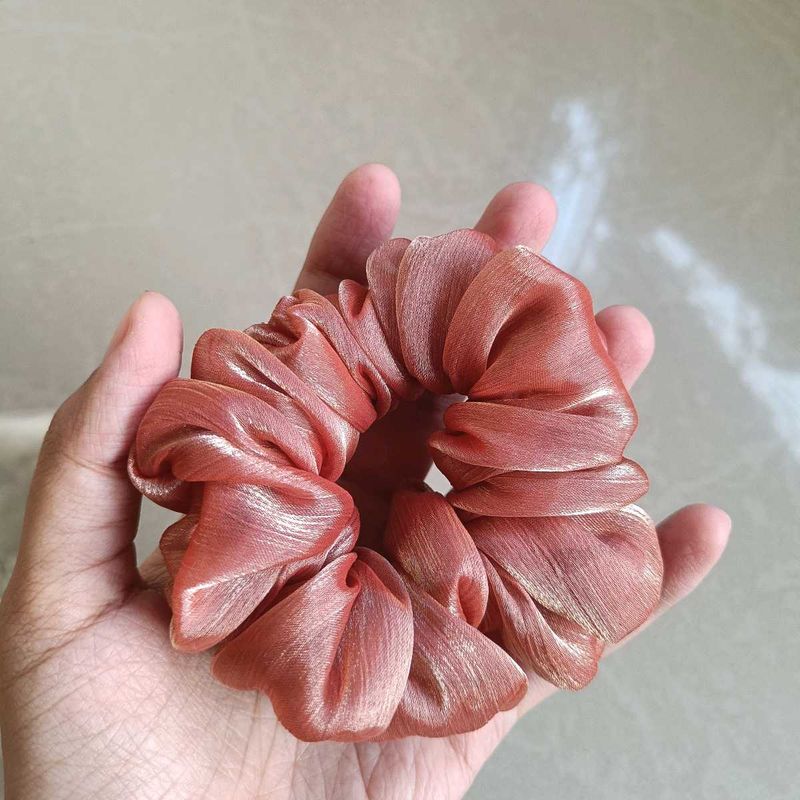 1 ORGANZA SCRUNCHIE 🦋