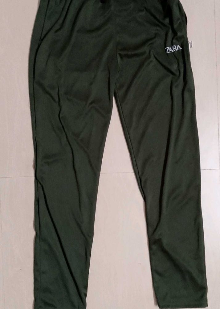 Olive Color Pant
