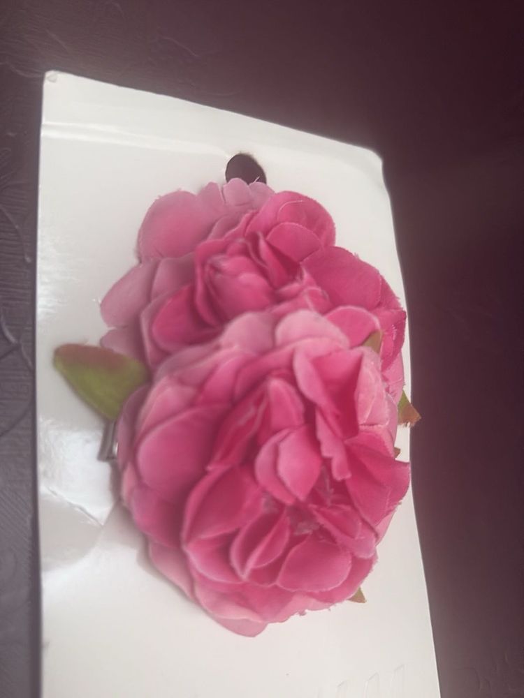 Silver Hair Clips - H&amp;M