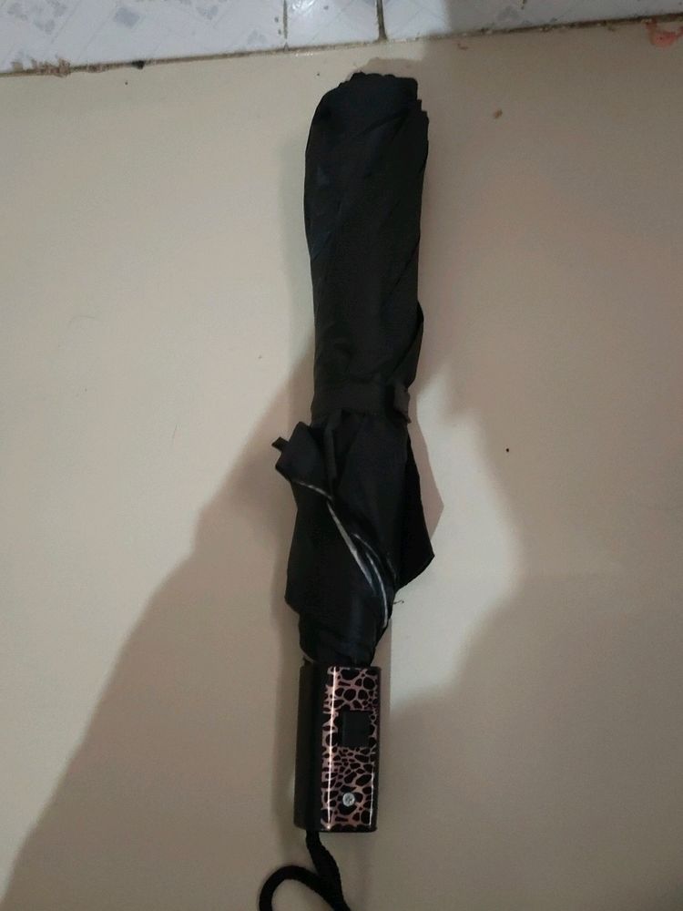 Button Umbrella