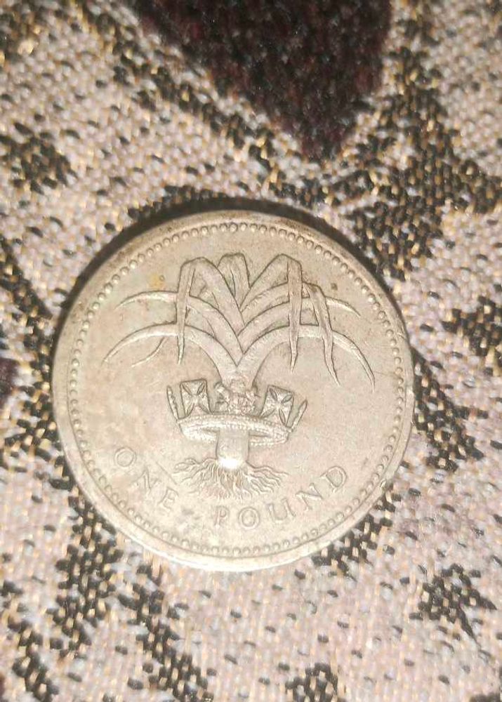 Vintage One Pound Coin