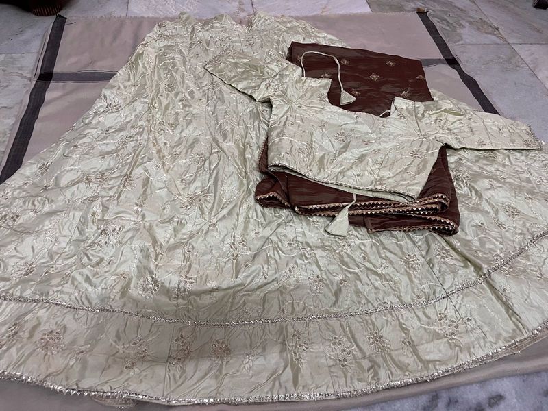 Elegant Lehenga Choli Set