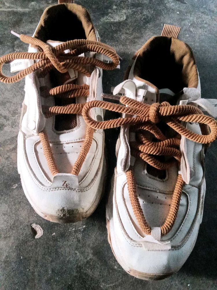 White &amp; Brown Casual Sneakers
