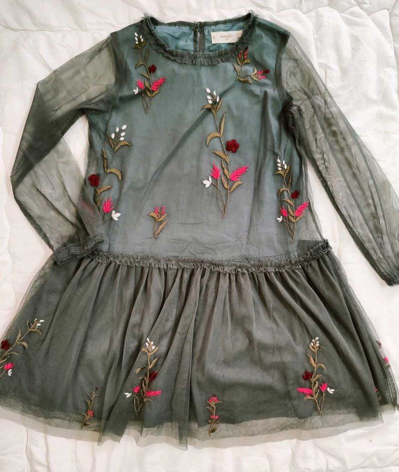Embroidered Tulle Mini Dress