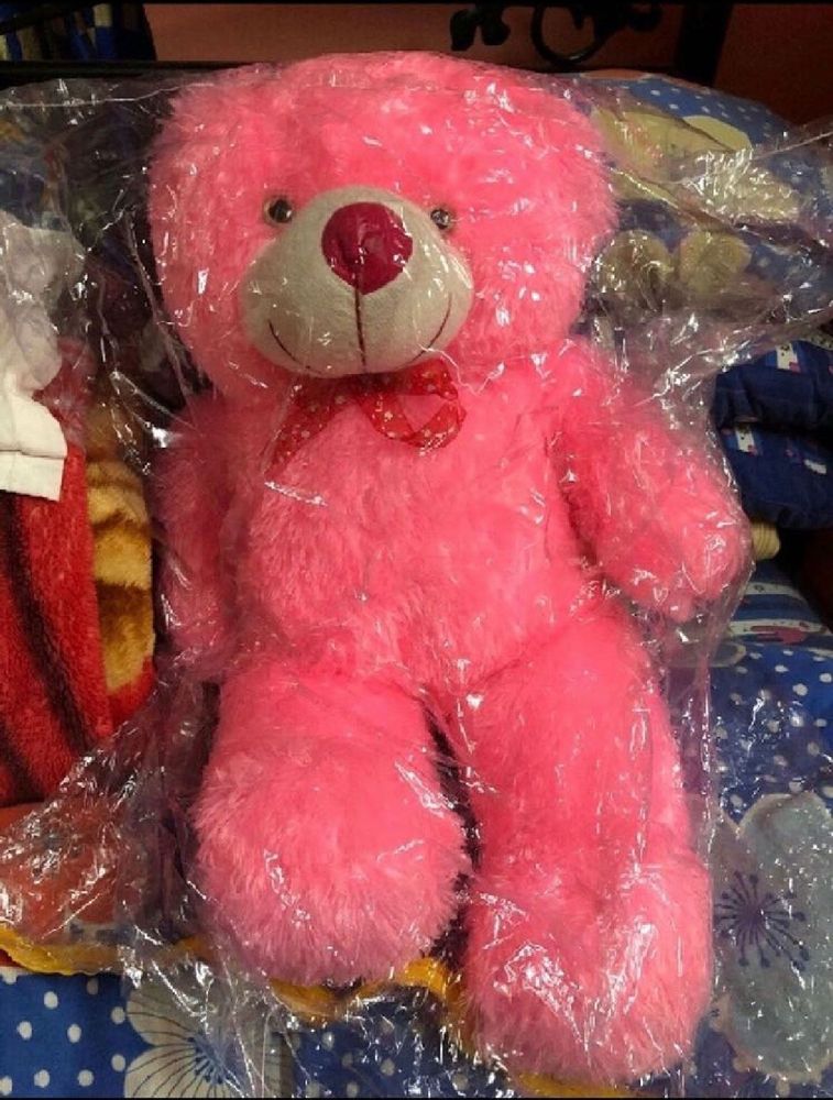 Brand New Pink Teddy Bear (4.3 feet)