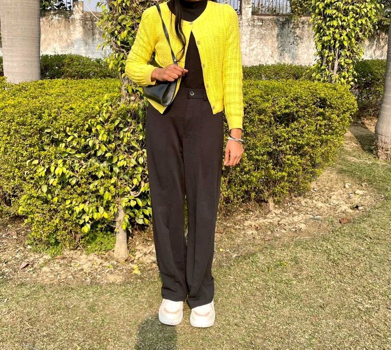 Korean Cable Knit Sweater