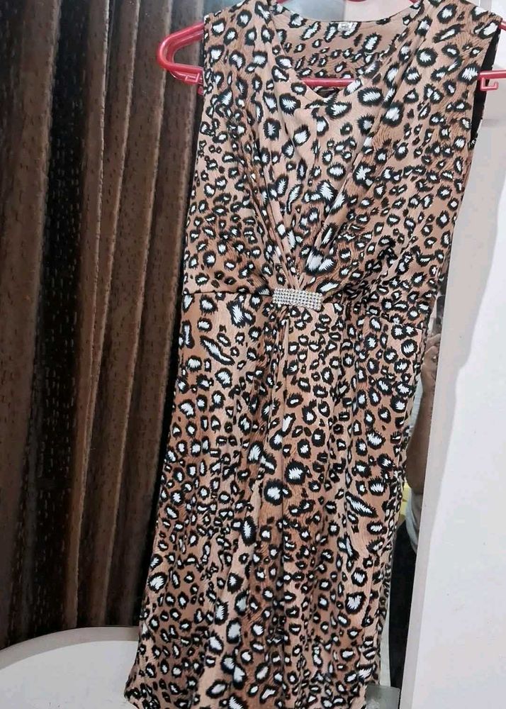 Leopard Print Dress