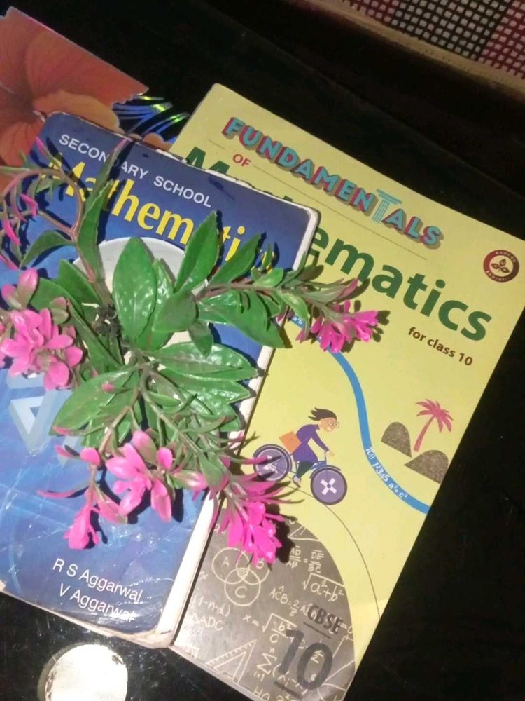 Mathematics Textbooks - Class 10