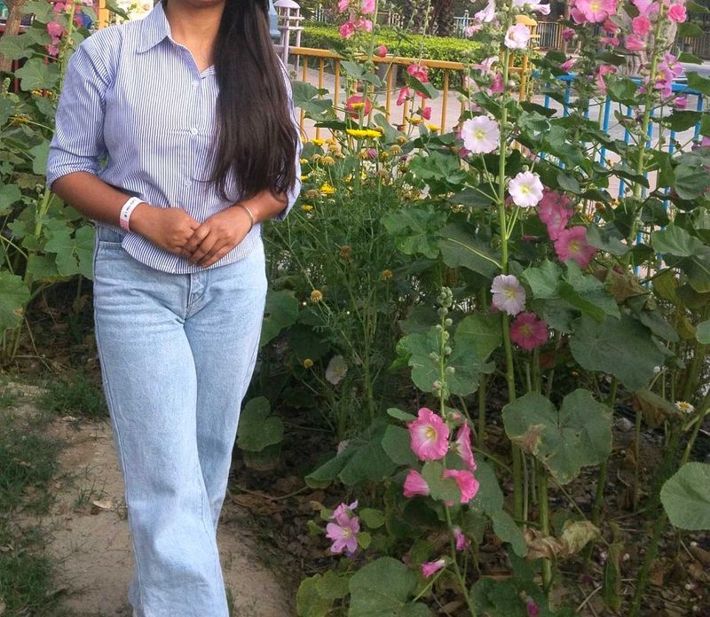 it&#39;s a crop shirt it&#39;s going in Trend