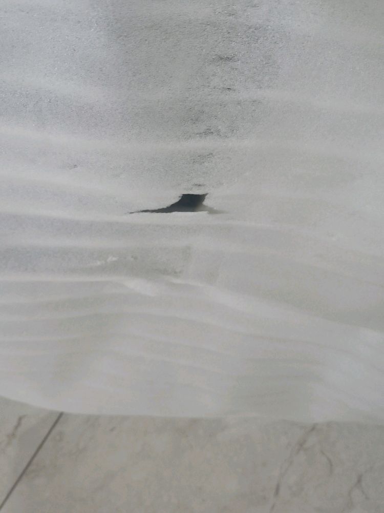 Foam Sheet