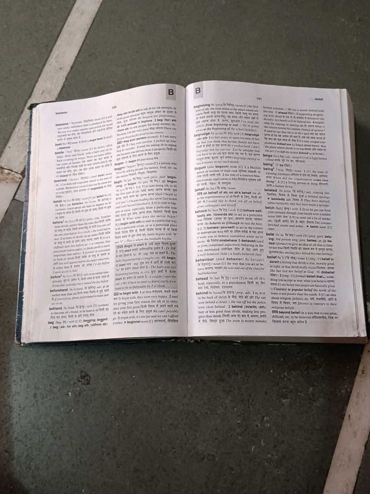 Dictionary Book