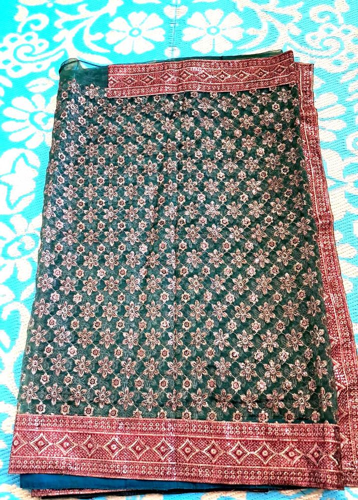 Green  Organza  Saree.