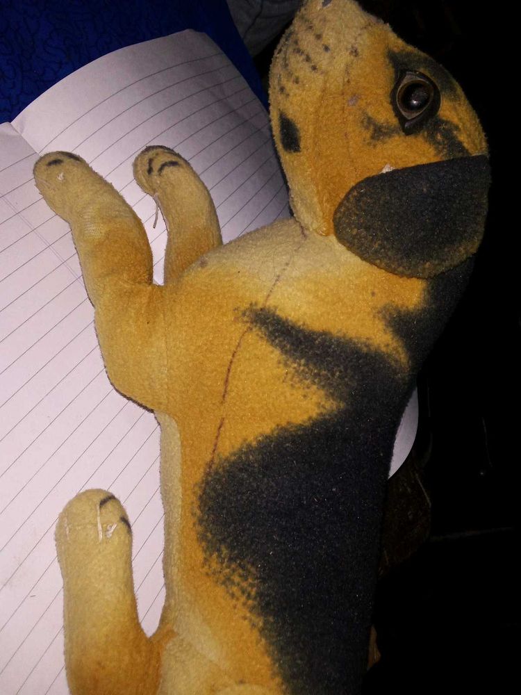 Dog Plush Toy