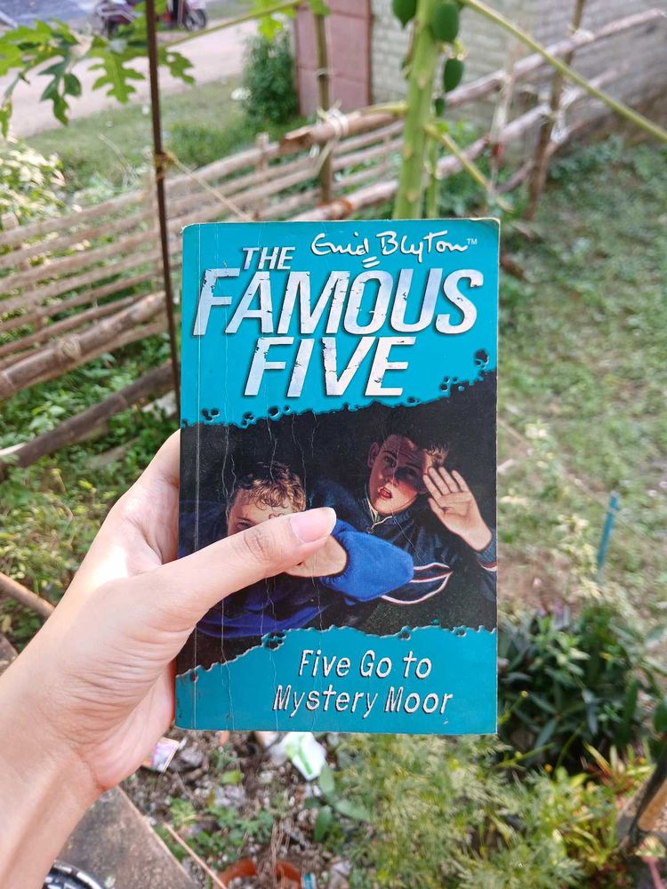 The Famous Five: Mystery Moor