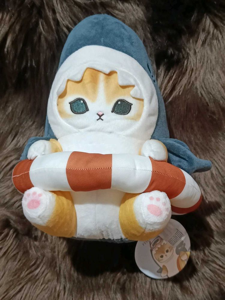 Mofusand SHARK kitten