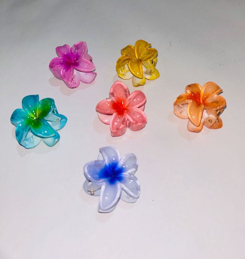 MINI CLAW CLIPS (pack Of 6)