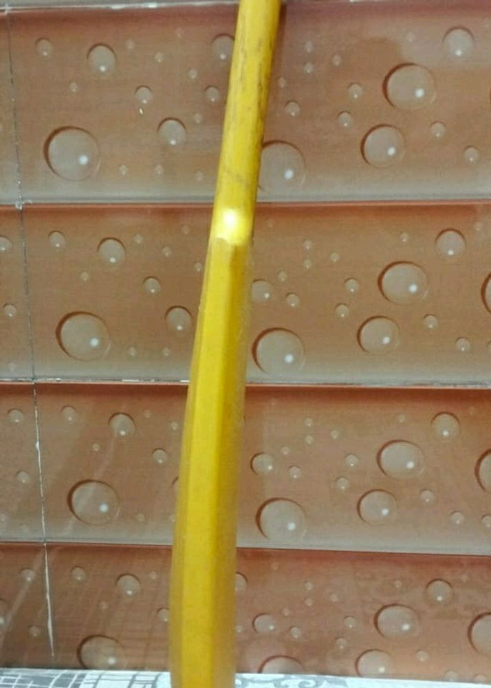 Hard Plastic Bat