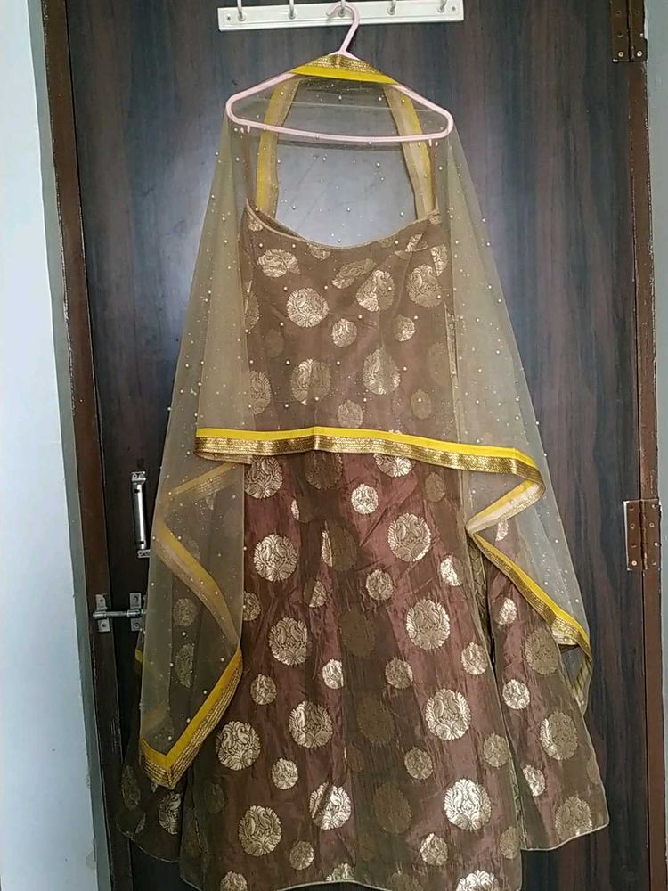 Brown &amp; Gold Lehenga with Dupatta