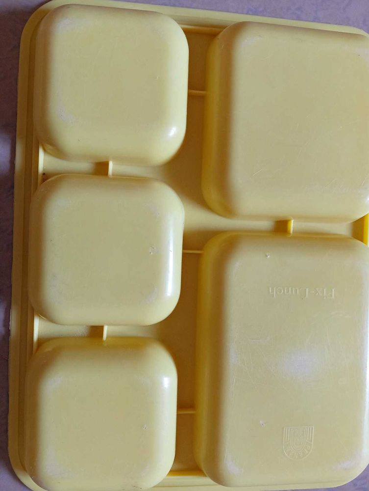 Food Plastic Dish