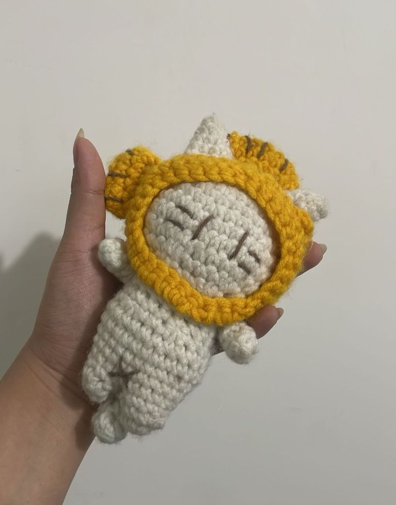 Fish Hat Cat Crochet