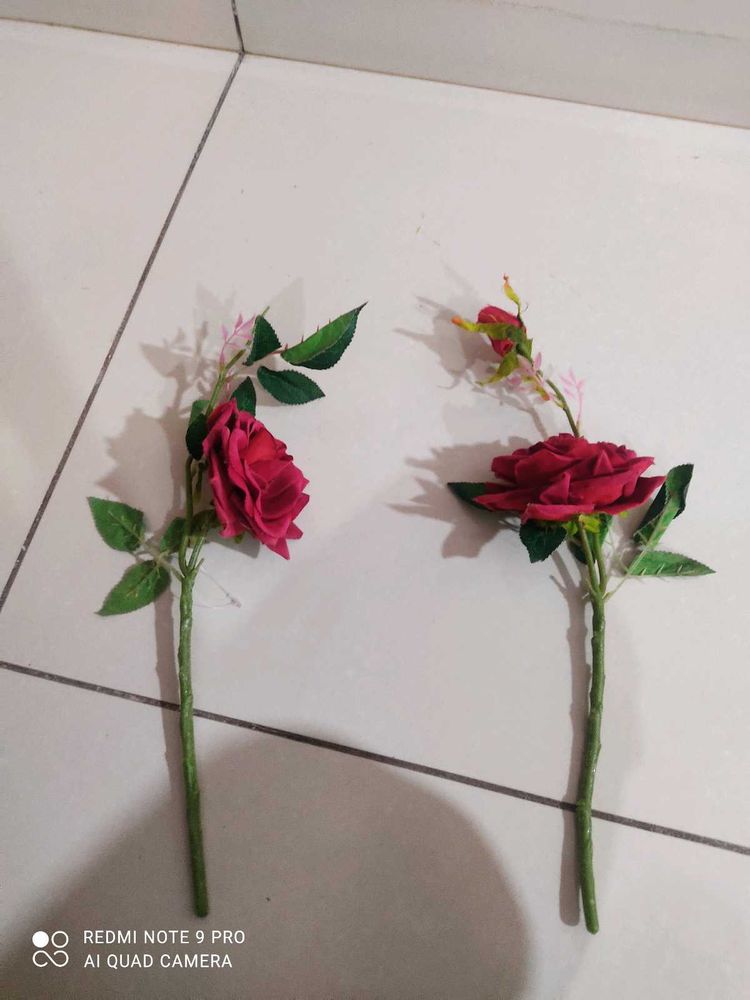 Red Rose